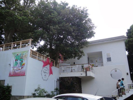 Ado Mizumori Toy Box Gallery